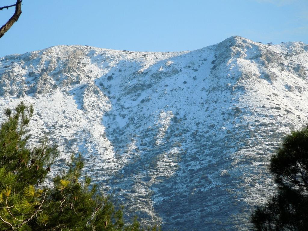 Dražen *